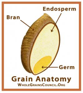 whole grain kernel