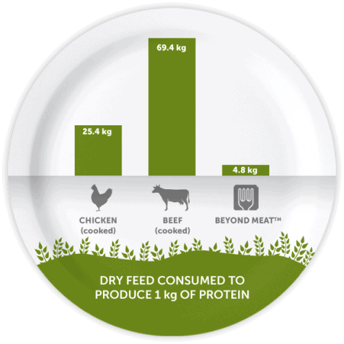 What does it take to get protein on your plate?