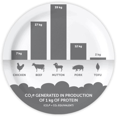 What does it take to get protein on your plate?