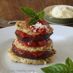 Grilled Eggplant Quinoa Stacks|Craving Something Healthy