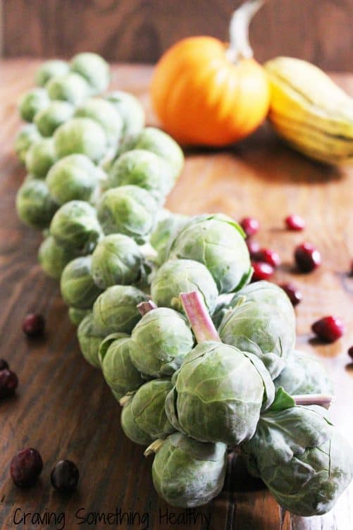 A stalk of Brussels sprouts with cranberries and squash in the background.