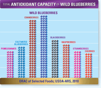 Wild Blueberries and antioxidants|Craving Something Healthy