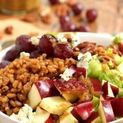 Wheat Berry Waldorf Salad|Craving Something Healthy
