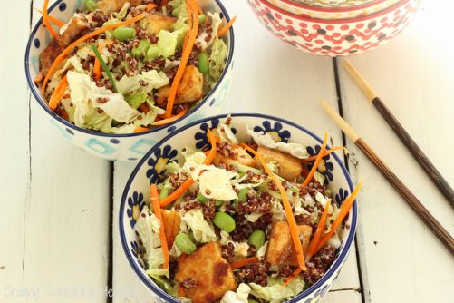 Sesame Tofu Salad with Quinoa|Craving Something Healthy