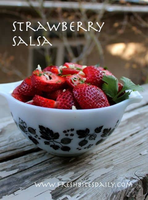 Strawberry Salsa|Fresh Bites Daily