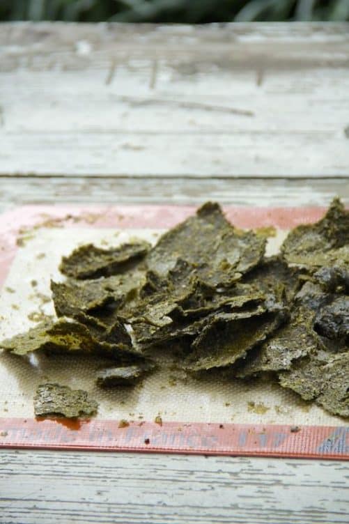 Kale Tortilla Chips|Gratitude and Greens