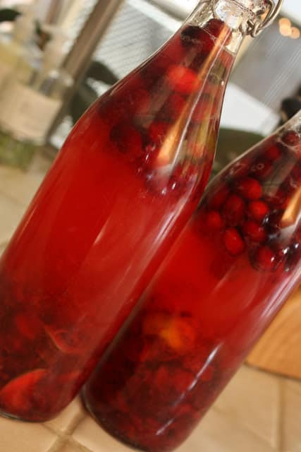 Cranberry and Lime Vodka|Meet the Sullivans