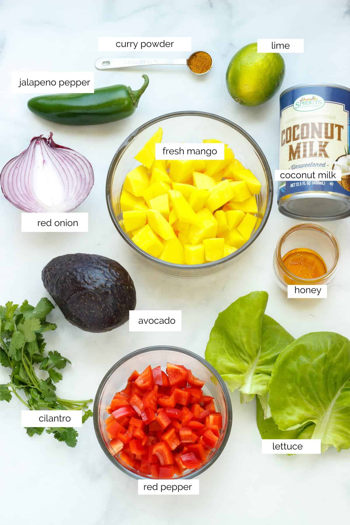Ingredients needed to make mango avocado salad