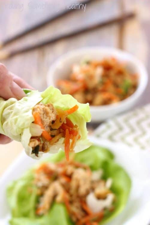 Asian Chicken Lettuce Wraps|Craving Something Healthy