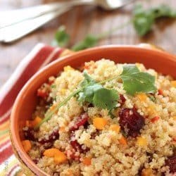 Cranberry Cilantro Quinoa Salad|Craving Something Healthy