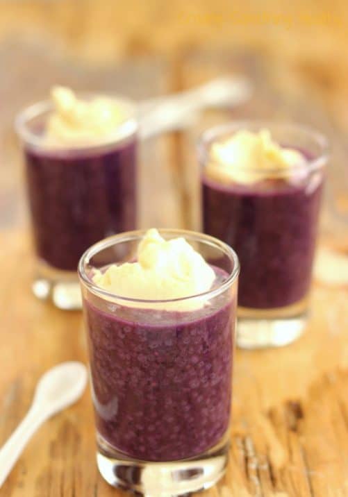 Wild Blueberry Lemon Chia Pudding|Craving Something Healthy