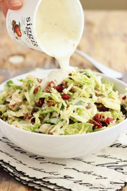 Holiday Slaw with Greek Yogurt Dressing