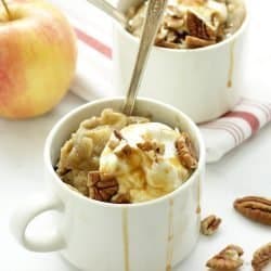 Apple Spice Protein Mug Cake