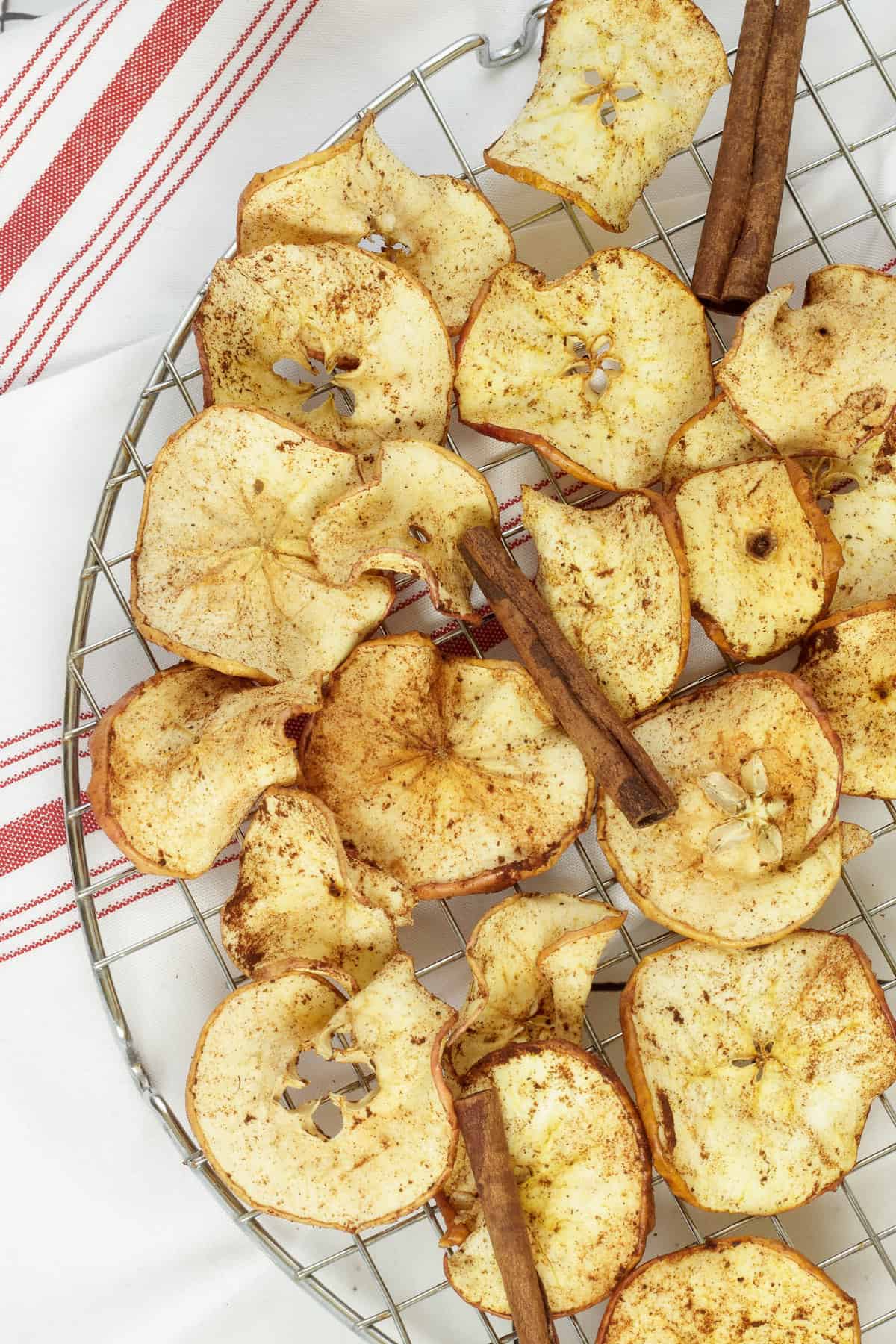 Air fryer apple chips on a cooling rack garnished with cinnamon sticks.