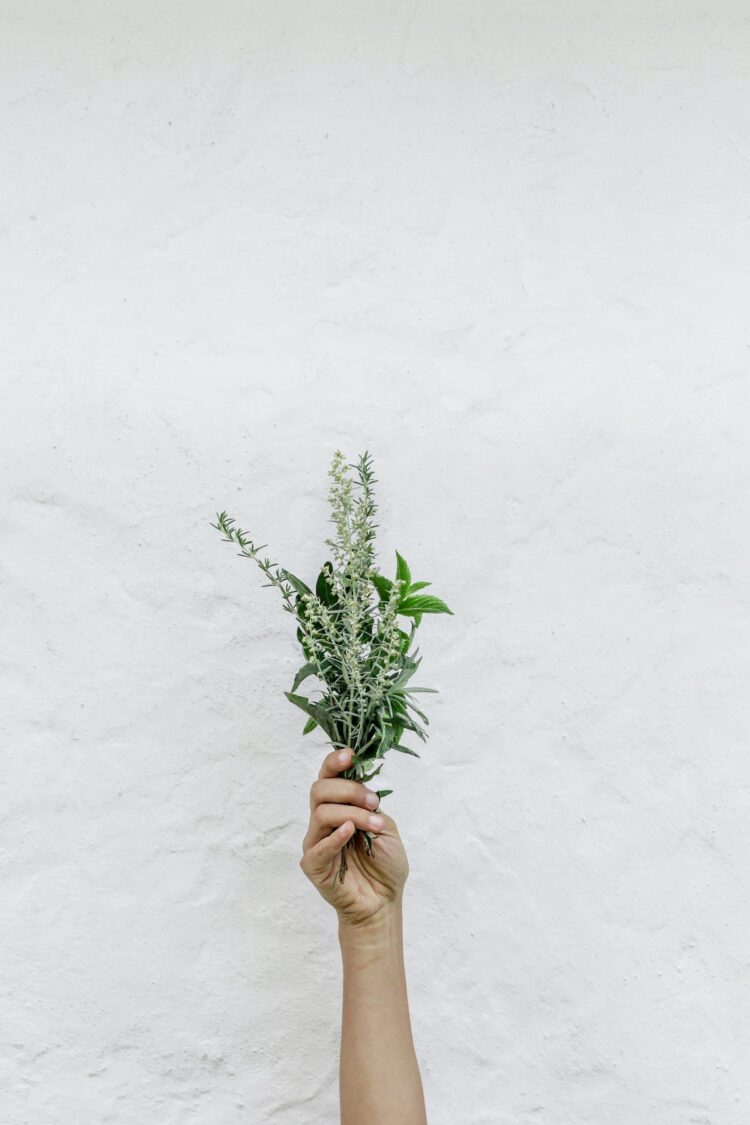 a person's hand holding a bunch of fresh herbs
