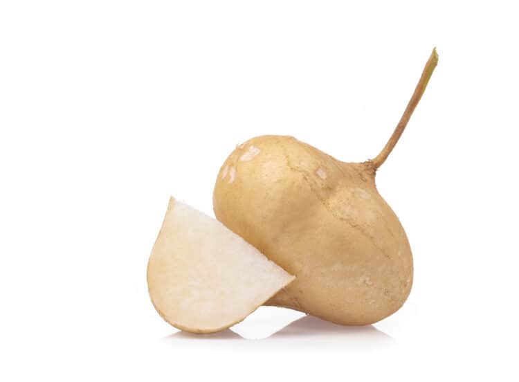 A whole jicama and a piece of cut  jicama. 