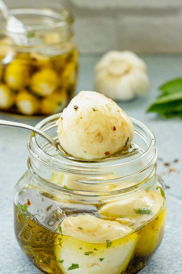 A closeup shot of a bocconcini on a spoon over a jar of bocconcini mozzarella balls marinated in olive oil, garlic, and herbs.