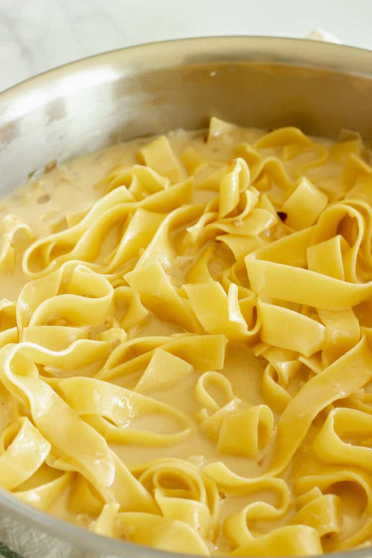 A pot of pasta noodles cooking.