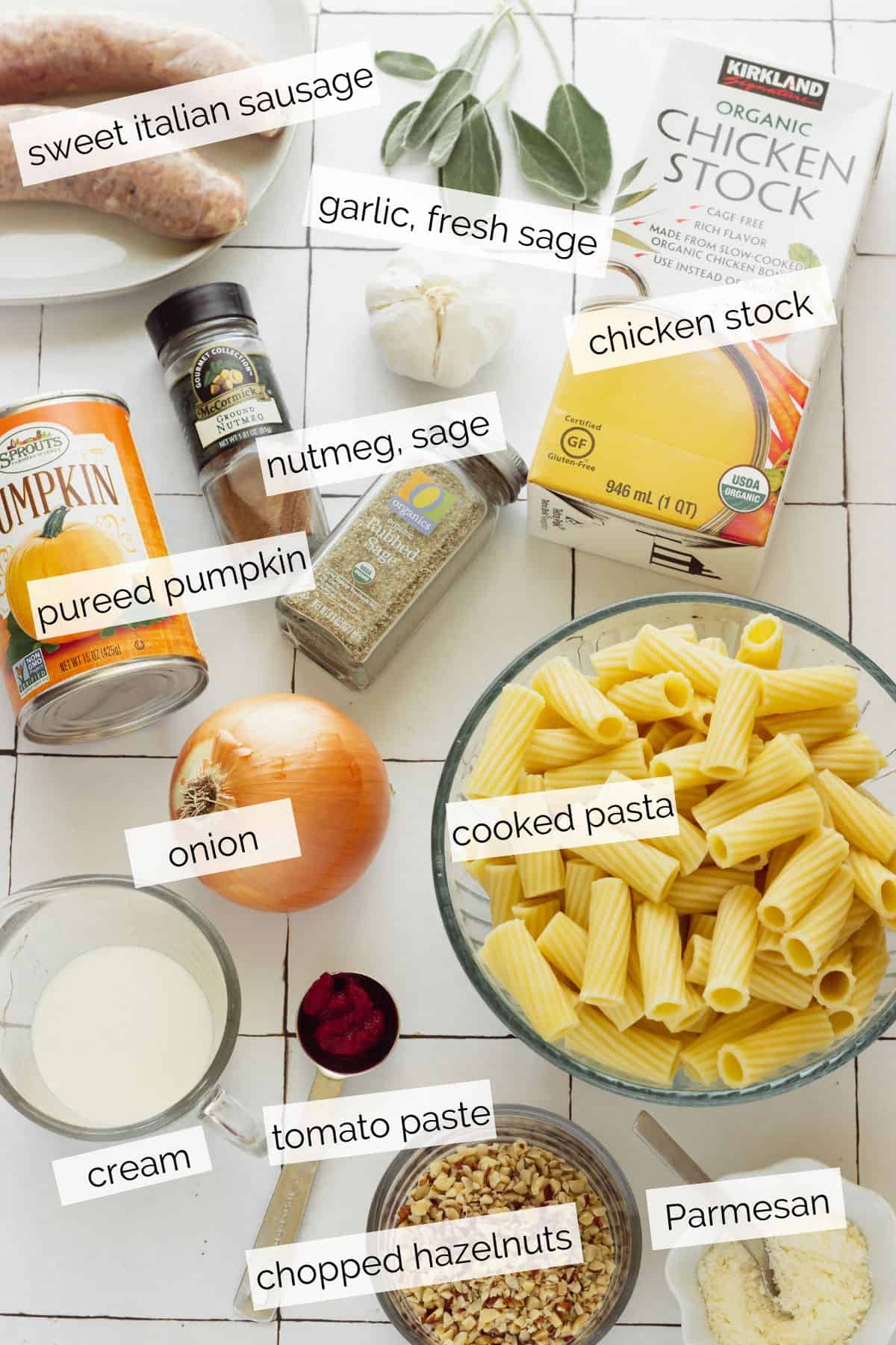 Ingredients needed to make pumpkin pasta sauce.