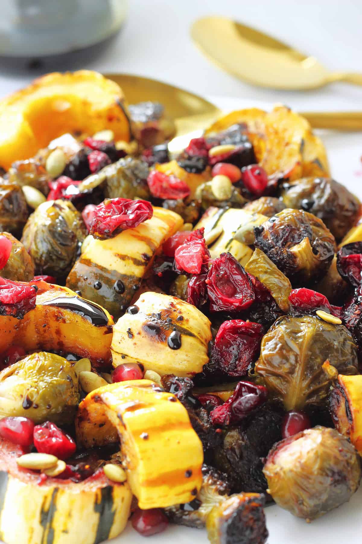 A closeup shot of roasted fall vegetables (delicata squash, brussels sprouts, and cranberries)
