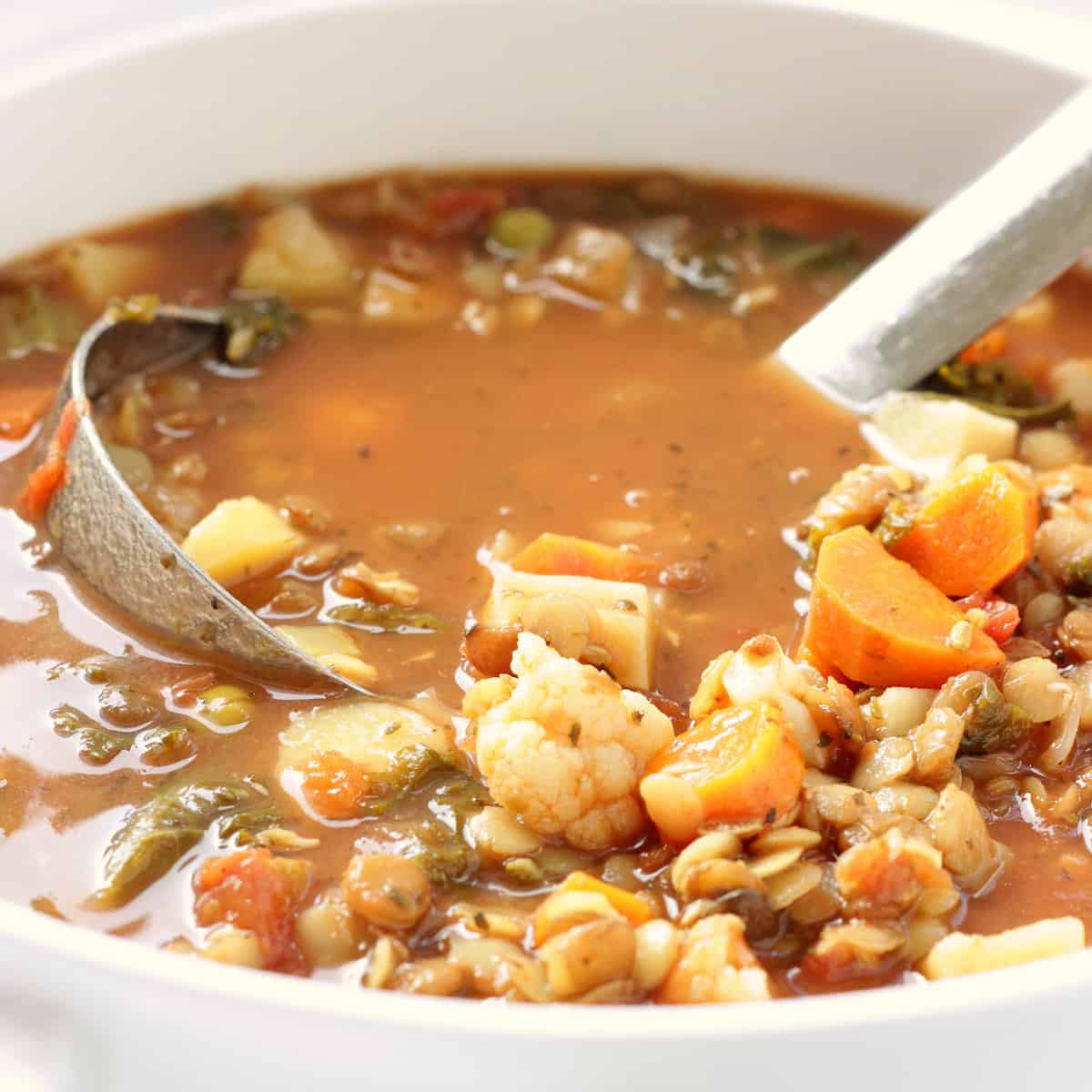 Heart Healthy Mediterranean Vegetable Lentil Soup